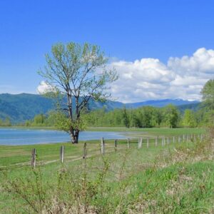 A springtime view of Rosemond Lake from the unfinished rail trail, photo by Jim Cooperman